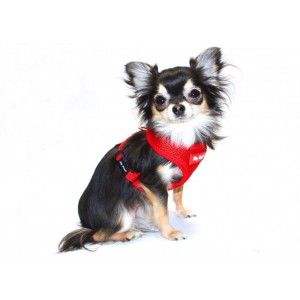 HIP DOGGIE PETTORINA SOFT ROSSA